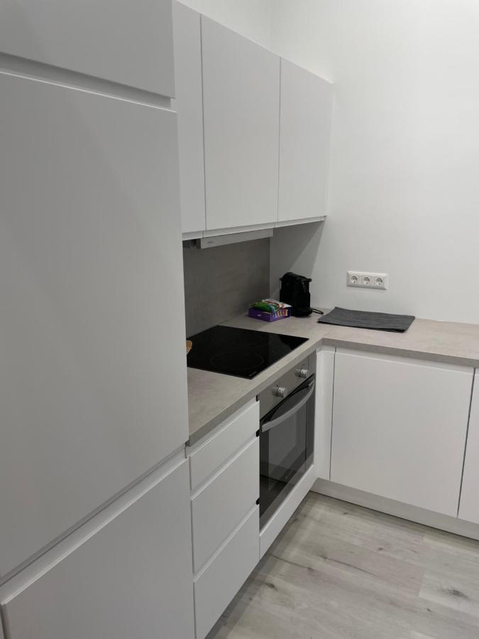 100M2 Apartment Naehe 1010 Wien Exterior foto